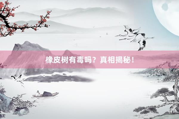 橡皮树有毒吗？真相揭秘！