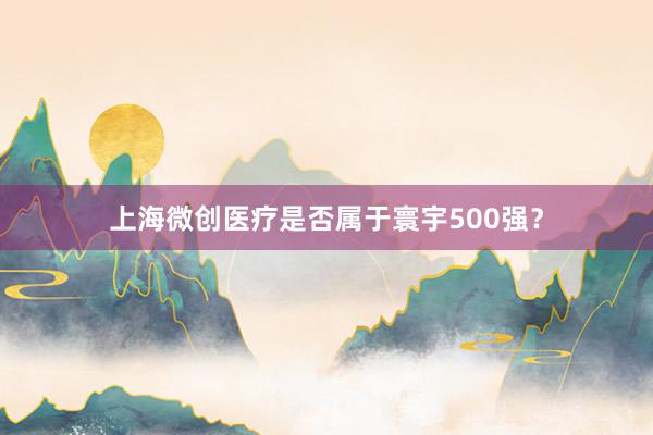 上海微创医疗是否属于寰宇500强？