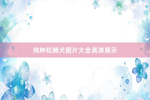 纯种松狮犬图片大全高清展示