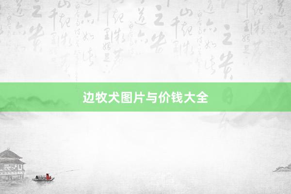 边牧犬图片与价钱大全