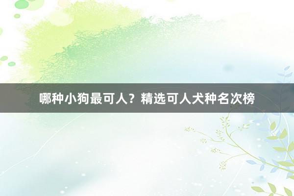 哪种小狗最可人？精选可人犬种名次榜